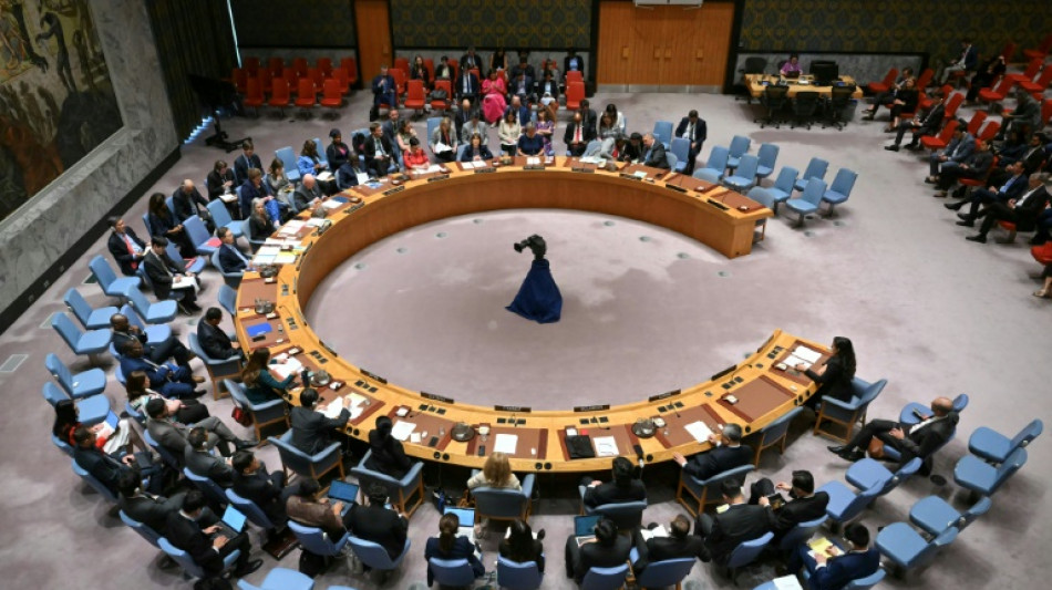 Consejo de Seguridad de ONU exige el fin del asedio a ciudad del Darfur sudan&eacute;s