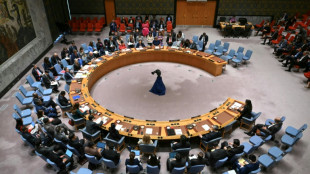 Consejo de Seguridad de ONU exige el fin del asedio a ciudad del Darfur sudan&eacute;s