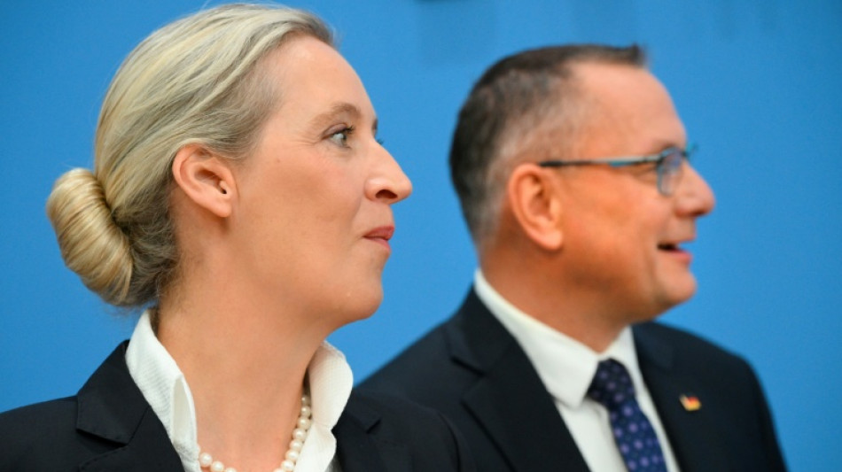 AfD sieht sich nach Wahlen als neue Volkspartei - anstelle der CDU