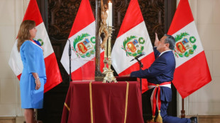 Congreso de Per&uacute; rechaza dos pedidos para destituir a presidenta por Rolexgate