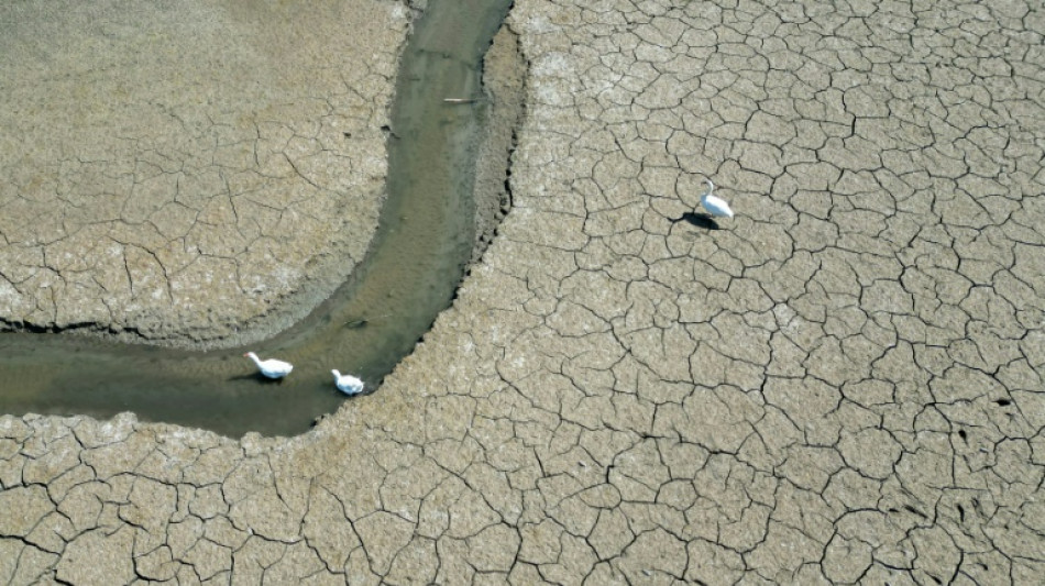 2025 en passe d'&ecirc;tre une des trois ann&eacute;es les plus chaudes