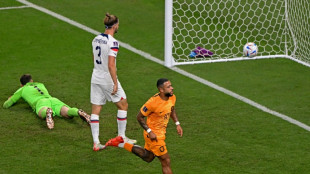Dutch masters into World Cup quarter-finals as USA downed