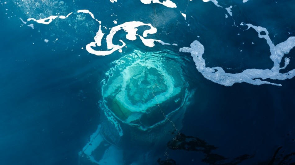 Diving robot explores mystery of France's deepest shipwreck