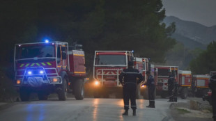 In Algeria spenti tutti gli incendi boschivi scoppiati giovedì