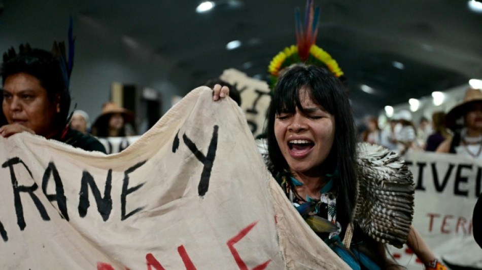 La COP30 en Amazon&iacute;a se contenta con un acuerdo de m&iacute;nimos que omite las energ&iacute;as f&oacute;siles