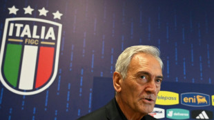 Presidente da Federa&ccedil;&atilde;o Italiana de Futebol renuncia ap&oacute;s novo fiasco da sele&ccedil;&atilde;o