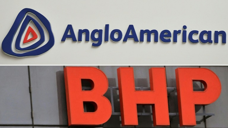 La minera BHP pide m&aacute;s tiempo para presentar la oferta de compra de Anglo American