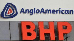 La minera BHP pide m&aacute;s tiempo para presentar la oferta de compra de Anglo American
