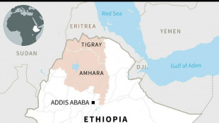 Ethiopia's conflict: the regional dimension