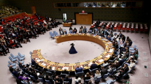 En la ONU, la comunidad internacional intenta evitar la guerra en L&iacute;bano