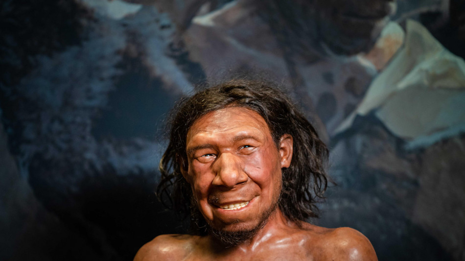 Anche i Neanderthal raccoglievano i molluschi nei mesi freddi