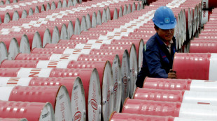 Il petrolio in rialzo a New York a 56,52 dollari