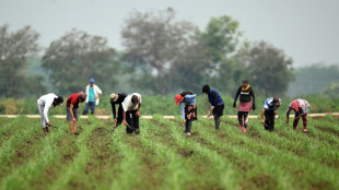 Bukele ratifica la ley que suspende los aranceles de m&aacute;s de 110 productos en El Salvador