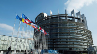 Les eurod&eacute;put&eacute;s votent sur la r&eacute;forme des r&egrave;gles budg&eacute;taires de l'UE