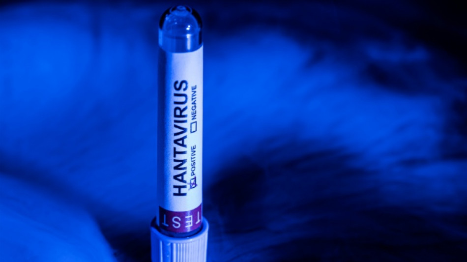 Hantavirus : un touriste ayant transit&eacute; en France test&eacute; positif, aujourd'hui isol&eacute; en Espagne (gouvernement fran&ccedil;ais)