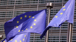 Fonti Ue, l'Italia chiede alla Commissione 8 miliardi per il Safe