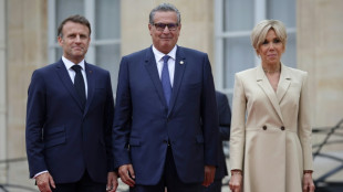Francia apoya el plan marroqu&iacute; para el S&aacute;hara Occidental, afirma Rabat