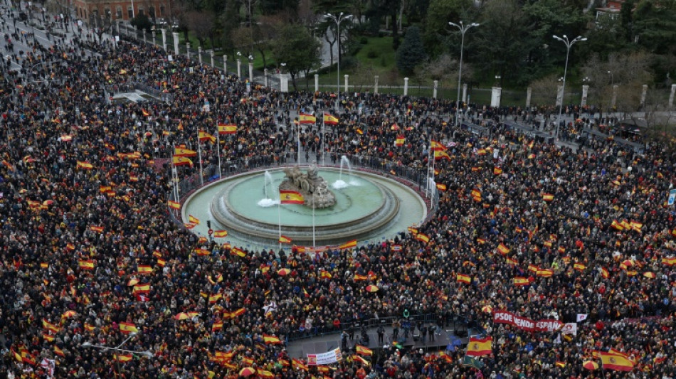 Una protesta en Madrid contra la amnist&iacute;a pide la dimisi&oacute;n de Pedro S&aacute;nchez
