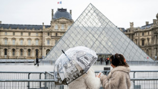 Erh&ouml;hte Preise im Louvre: Nicht-Europ&auml;er zahlen bis zu 32 Euro 