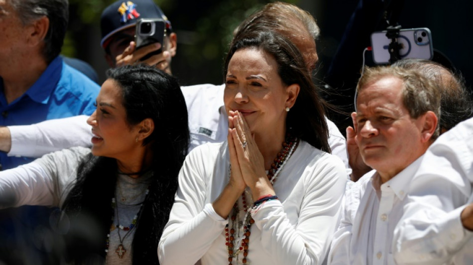 La oposici&oacute;n llama a una "enorme" protesta "dentro y fuera" de Venezuela el 1 de diciembre