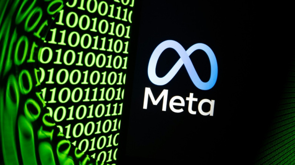 Meta se lance sur le march&eacute; des logiciels &eacute;crits par l'IA, domin&eacute; par Anthropic et OpenAI