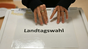 Linke in Rheinland-Pfalz wählt Landesvorsitzende Ruppert zu Spitzenkandidatin