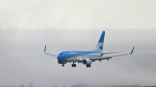 El gobierno argentino amenaza a los sindicatos con ceder a privados el control de Aerol&iacute;neas