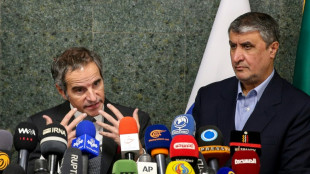 Iran und IAEA wollen "pragmatisch" letzte Streitpunkte bei Atomabkommen ausr&auml;umen