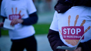 La UE promete controlar mejor las importaciones agr&iacute;colas, antes de eventual acuerdo con el Mercosur