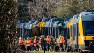 Une collision entre deux trains fait cinq bless&eacute;s graves au Danemark