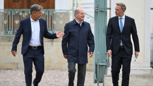Regierung will Wirtschaft steuerlich st&auml;rker entlasten als zuvor geplant