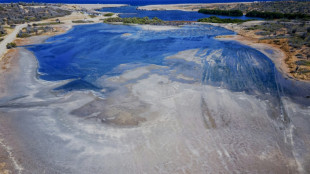 Netherlands 'insufficiently' protects Caribbean island from climate change: court