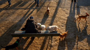 Gericht: Ausrutschen beim Gassigehen fürs Tierheim ist Arbeitsunfall