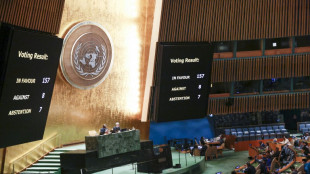 La Asamblea General de la ONU aboga por la creaci&oacute;n de un Estado palestino