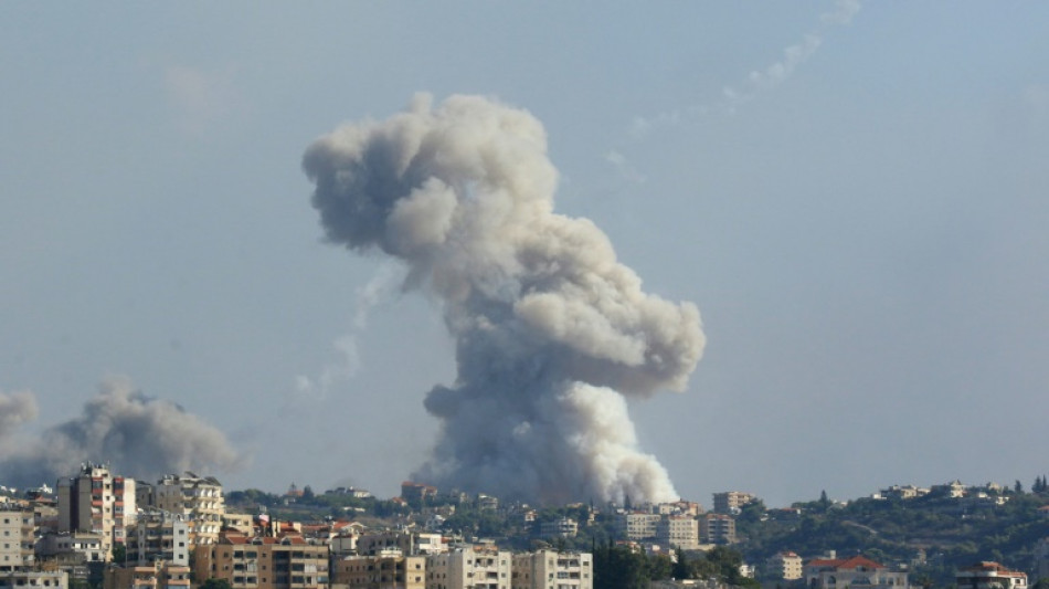 Terror en el sur de L&iacute;bano bajo una andanada de bombardeos israel&iacute;es