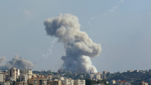 Terror en el sur de L&iacute;bano bajo una andanada de bombardeos israel&iacute;es
