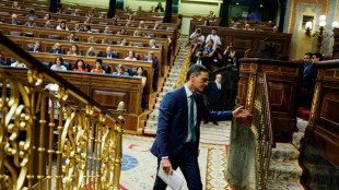 Pedro S&aacute;nchez declarar&aacute; el 30 de julio ante un juez espa&ntilde;ol en el caso contra su esposa