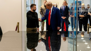 Trump s'engage &agrave; "r&eacute;soudre" le conflit en Ukraine apr&egrave;s avoir rencontr&eacute; Zelensky
