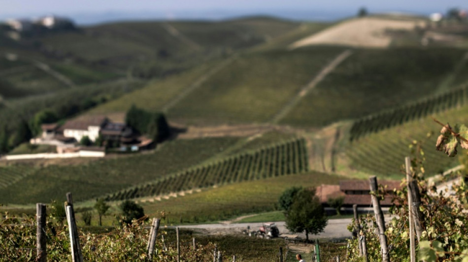 Italie: le mousseux d'Asti réduit sa production face aux tempêtes des marchés