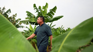 La reactivaci&oacute;n econ&oacute;mica de El Salvador, el nuevo desaf&iacute;o de Bukele