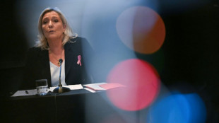 Primer gran mit&iacute;n de la l&iacute;der ultraderechista Le Pen para las presidenciales en Francia