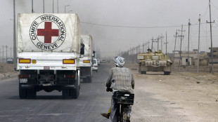 Croce Rossa,nel 2026 summit su violazioni diritto internazionale