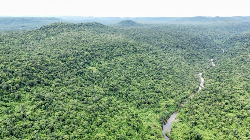 Cambodge: le retour du tigre pas toujours vu d'un bon &oelig;il