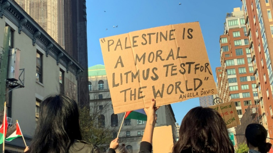 'Black Lives 4 Palestine': US activists find common cause