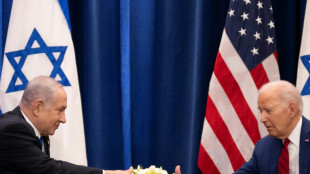 Republicanos en EEUU confrontan a Biden por suspensi&oacute;n de env&iacute;o de armas a Israel