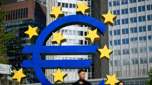 La inflaci&oacute;n de la eurozona retom&oacute; en diciembre su tendencia al alza