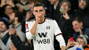 Fulham &ouml;ffnet T&uuml;r f&uuml;r Bayern-Wunschspieler Palhinha