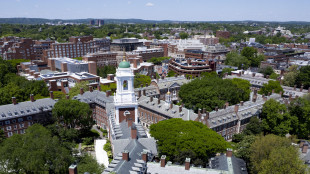 Ft, Harvard Business School valuta lezioni o sedi estere su stretta Trump a visti