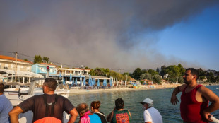 Un incendio forestal obliga a evacuar por mar a casi 500 turistas en Grecia