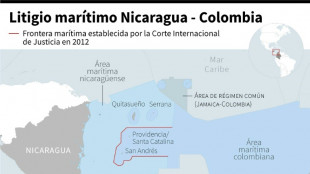 La m&aacute;xima corte de la ONU se pronuncia sobre litigio territorial entre Colombia y Nicaragua